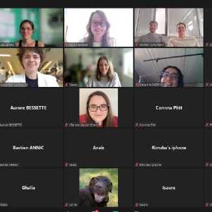 Image Vignette_Webinaire_participants_002