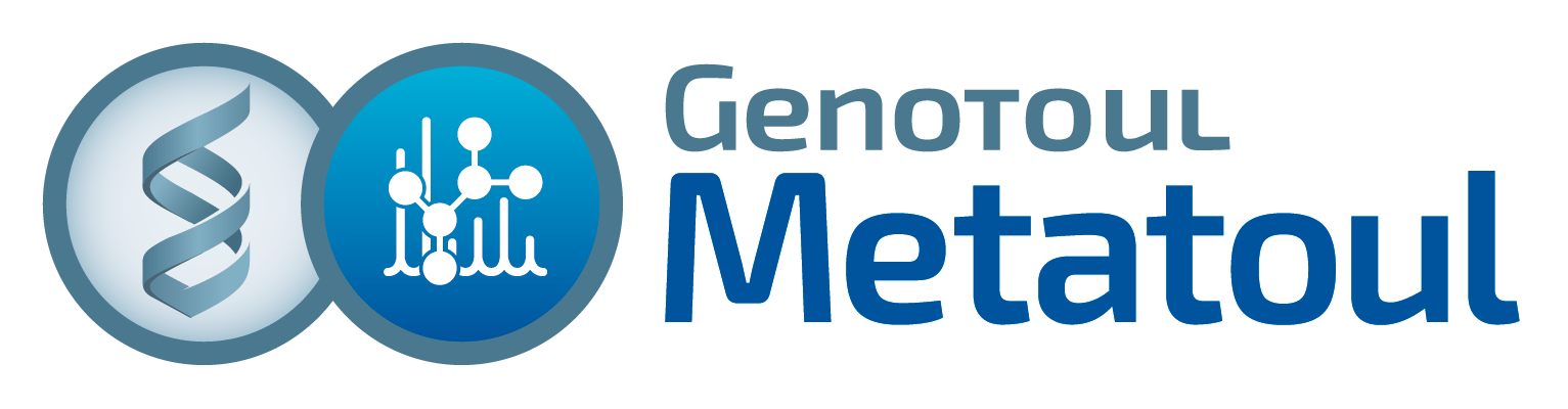Logo de Metatoul_logo-rvb